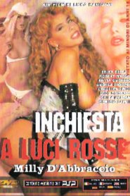 Inchiesta a Luci Rosse