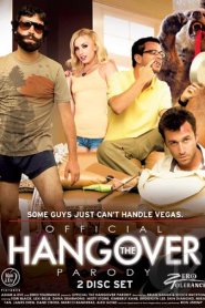 The Official Hangover Parody