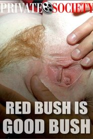 Red Bush Is Good Bush