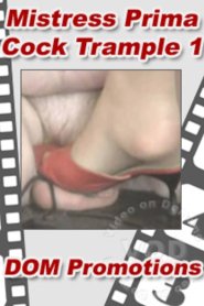 Mistress Prima &#8211; Cock Trample 1