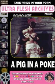 A Pig in a Poke